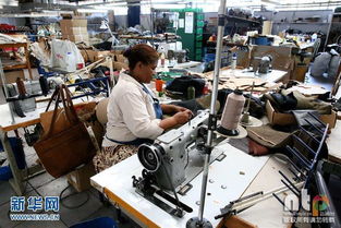 实拍非洲皮革工厂 上流社会日用品的加工地